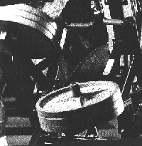 shtangi3.gif (85092 bytes)